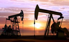 /sdsp/shidian/1030.html