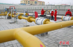 /youqizixun/4595.html