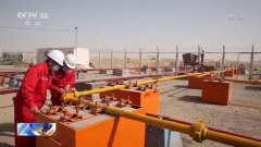 /youqizixun/4919.html