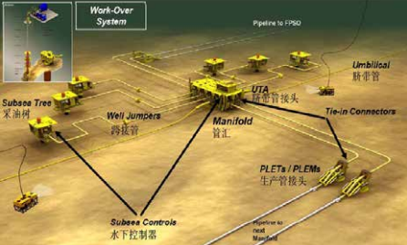 /sdsp/shidian/6301.html