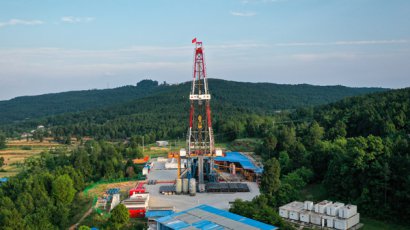 /youqizixun/7175.html